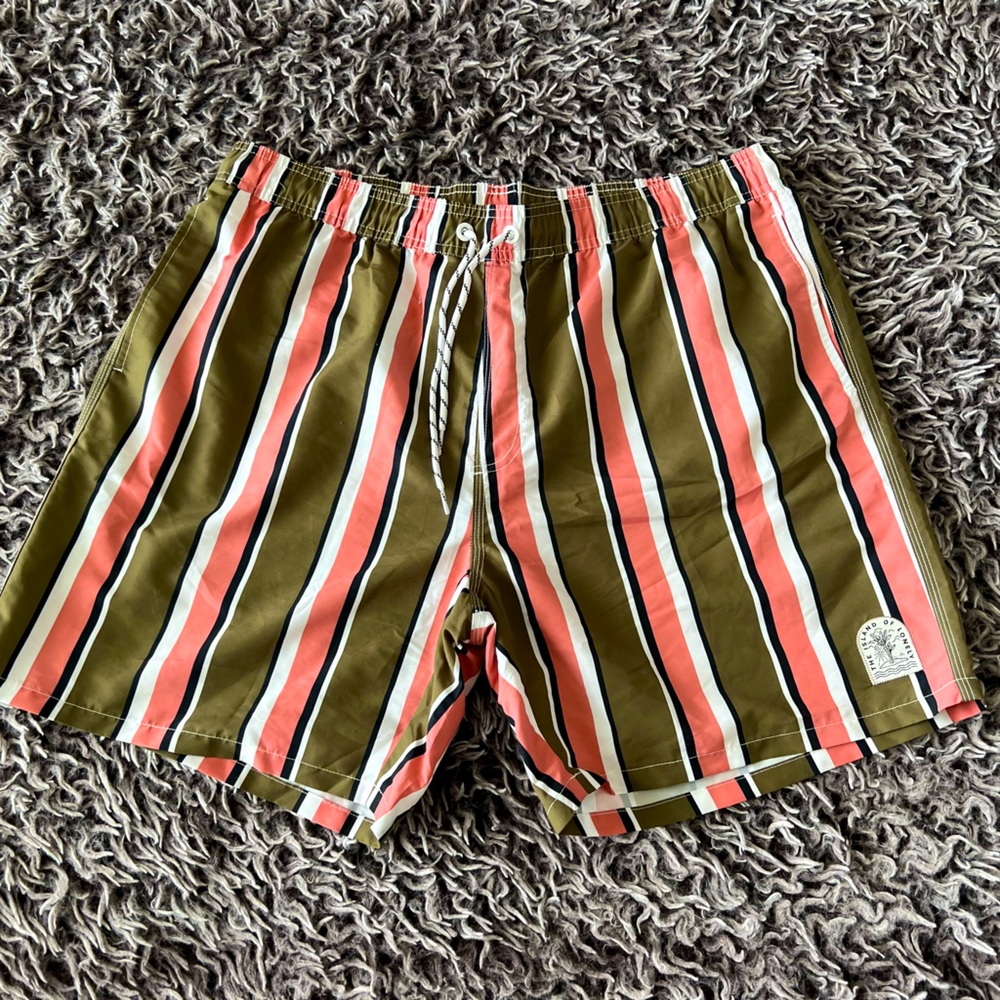 Multi-Color Striped Men’s Swim Trunks XXL (Shein)